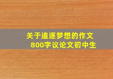 关于追逐梦想的作文800字议论文初中生