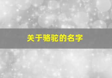 关于骆驼的名字