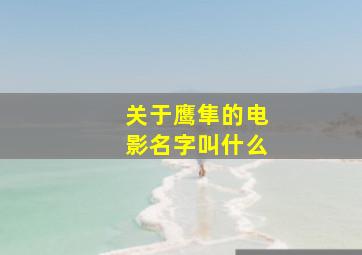 关于鹰隼的电影名字叫什么