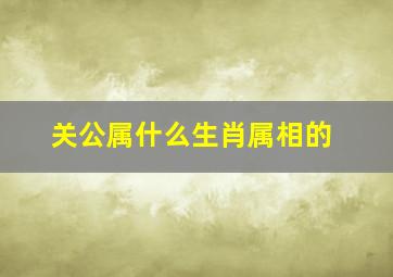 关公属什么生肖属相的