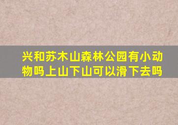 兴和苏木山森林公园有小动物吗上山下山可以滑下去吗