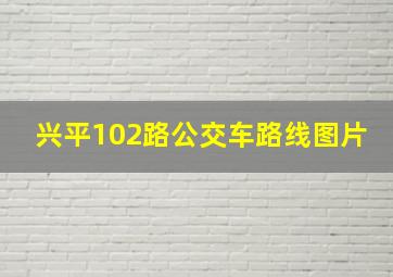 兴平102路公交车路线图片