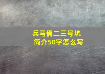 兵马俑二三号坑简介50字怎么写