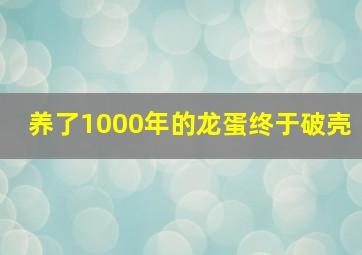 养了1000年的龙蛋终于破壳