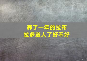 养了一年的拉布拉多送人了好不好