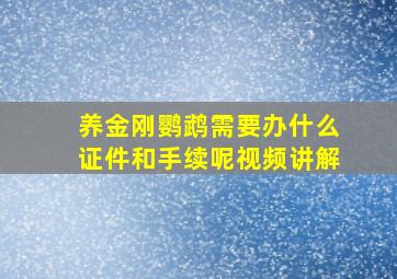 养金刚鹦鹉需要办什么证件和手续呢视频讲解