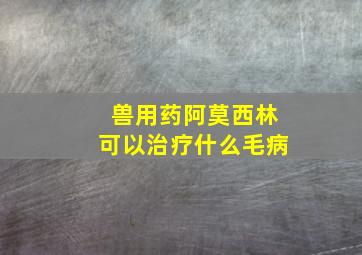 兽用药阿莫西林可以治疗什么毛病