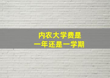 内农大学费是一年还是一学期