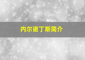 内尔诺丁斯简介