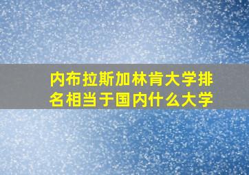 内布拉斯加林肯大学排名相当于国内什么大学