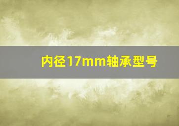 内径17mm轴承型号