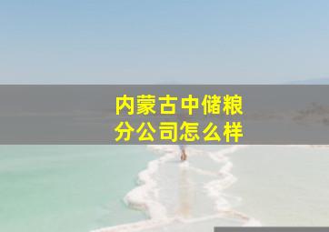 内蒙古中储粮分公司怎么样