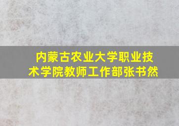 内蒙古农业大学职业技术学院教师工作部张书然