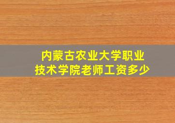 内蒙古农业大学职业技术学院老师工资多少