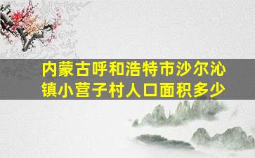 内蒙古呼和浩特市沙尔沁镇小营子村人口面积多少