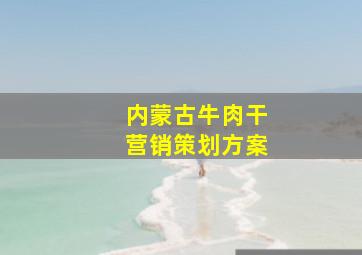 内蒙古牛肉干营销策划方案