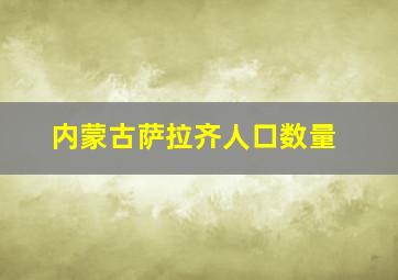 内蒙古萨拉齐人口数量