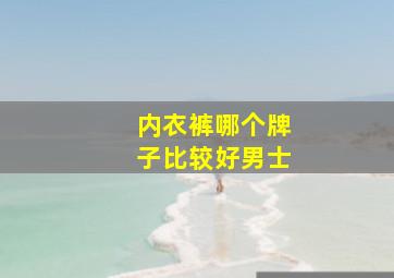 内衣裤哪个牌子比较好男士