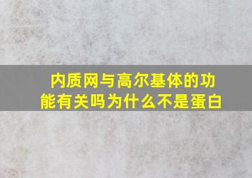 内质网与高尔基体的功能有关吗为什么不是蛋白