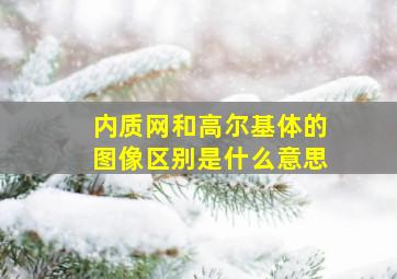 内质网和高尔基体的图像区别是什么意思