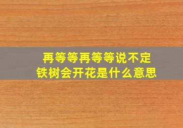 再等等再等等说不定铁树会开花是什么意思