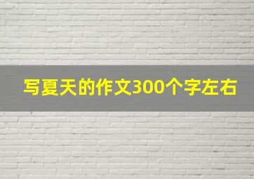 写夏天的作文300个字左右