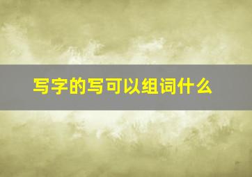 写字的写可以组词什么