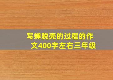 写蝉脱壳的过程的作文400字左右三年级