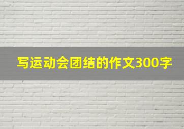 写运动会团结的作文300字