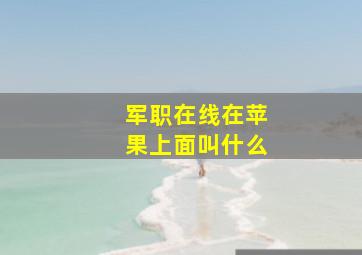 军职在线在苹果上面叫什么