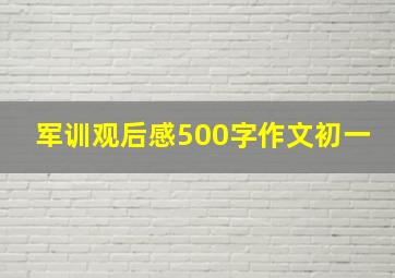 军训观后感500字作文初一