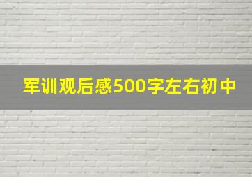 军训观后感500字左右初中