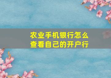 农业手机银行怎么查看自己的开户行