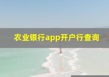 农业银行app开户行查询