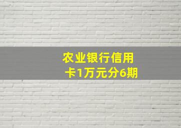 农业银行信用卡1万元分6期