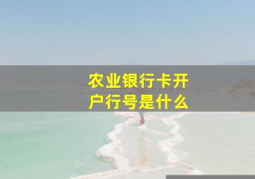 农业银行卡开户行号是什么