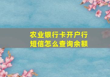 农业银行卡开户行短信怎么查询余额