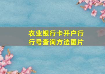 农业银行卡开户行行号查询方法图片