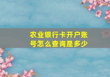 农业银行卡开户账号怎么查询是多少