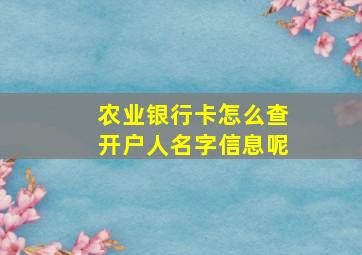 农业银行卡怎么查开户人名字信息呢