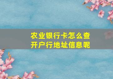 农业银行卡怎么查开户行地址信息呢