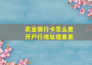 农业银行卡怎么查开户行地址信息表