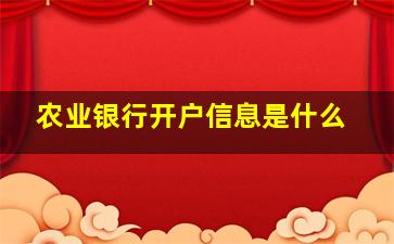 农业银行开户信息是什么