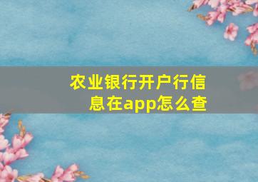 农业银行开户行信息在app怎么查