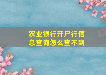 农业银行开户行信息查询怎么查不到