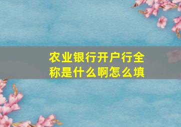 农业银行开户行全称是什么啊怎么填