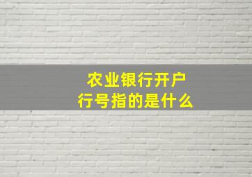 农业银行开户行号指的是什么