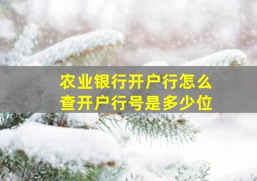 农业银行开户行怎么查开户行号是多少位