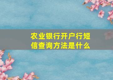 农业银行开户行短信查询方法是什么