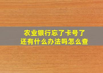 农业银行忘了卡号了还有什么办法吗怎么查